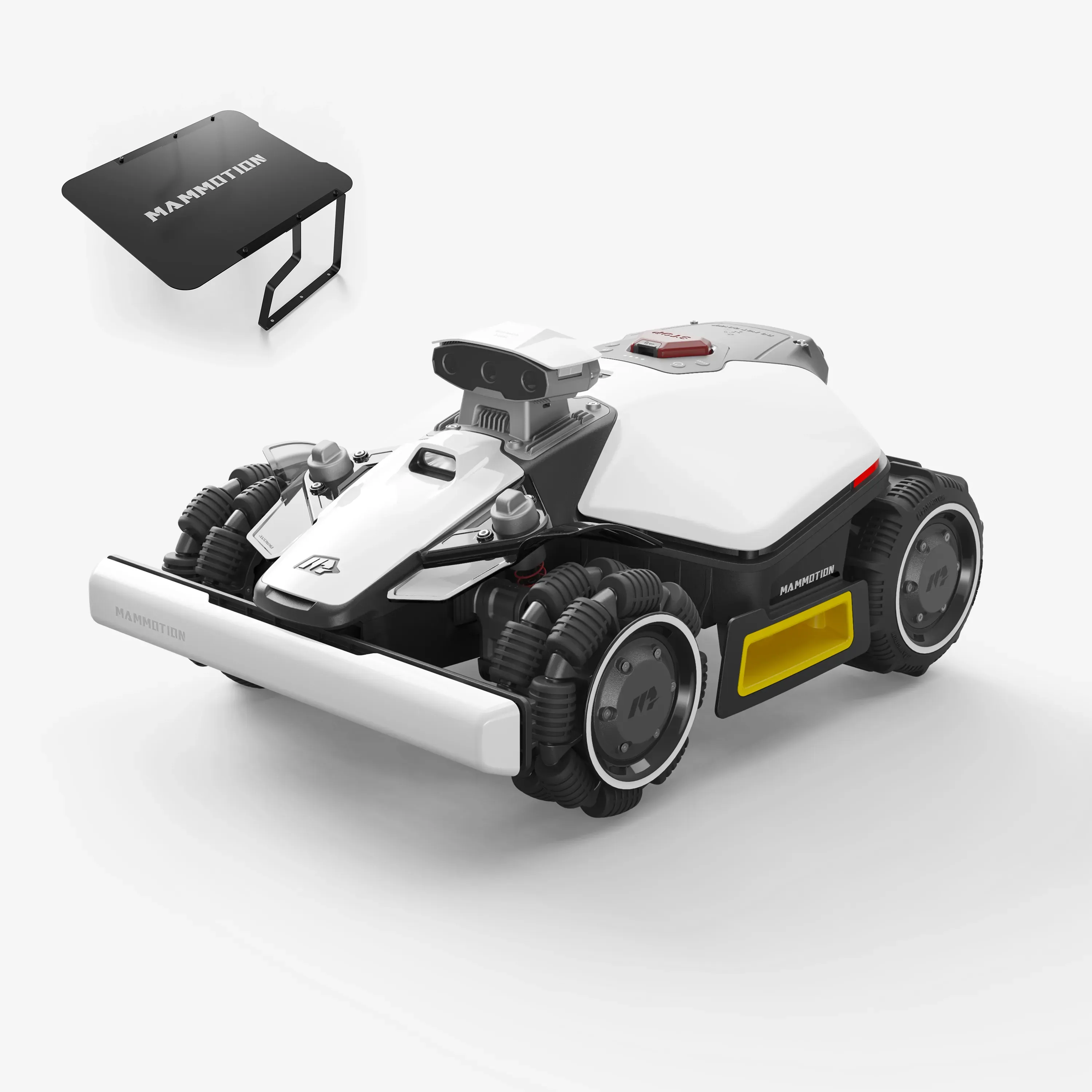 Miniatura 6