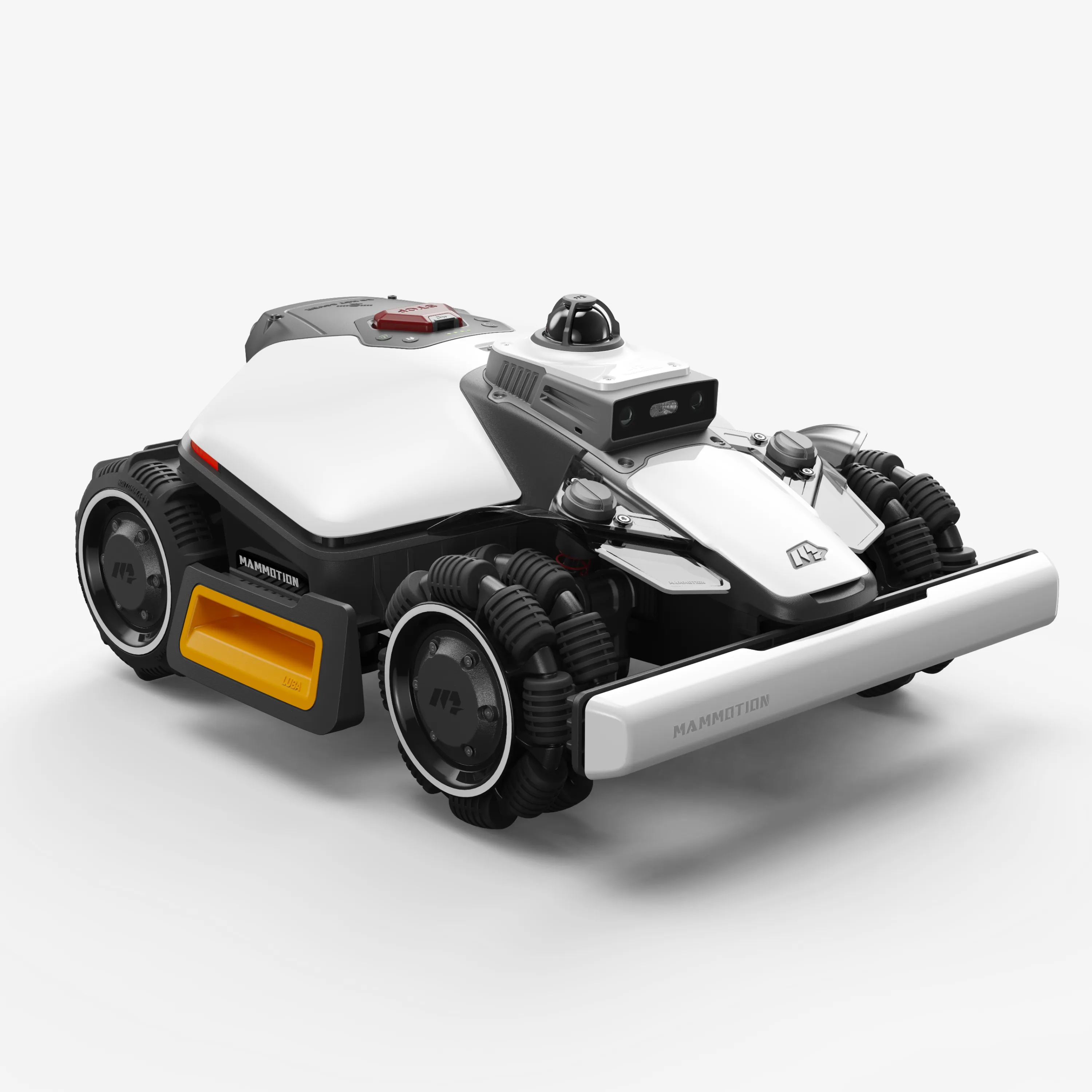 Miniatura 6